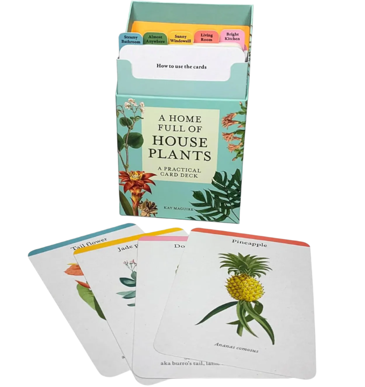 A Home Full of House Plants