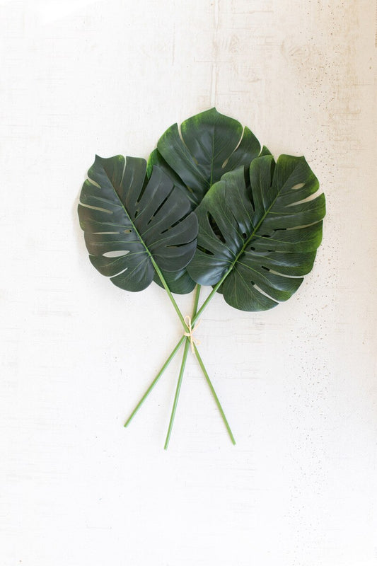 Monstera Leaf Bundle